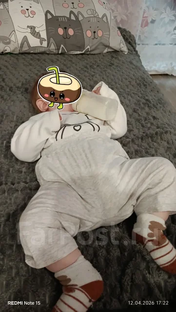 ����. ����