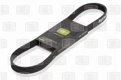 ������ ������������ Trialli [6PK962] 6PK962 ����