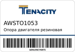 ����� ��������� ��������� (1169) Tenacity AWSTO1053 ����