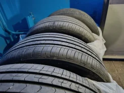 ZMax Zealion. ������, 2024 ���, �/�, ����� 5 % ����