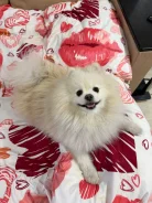 ����. ����