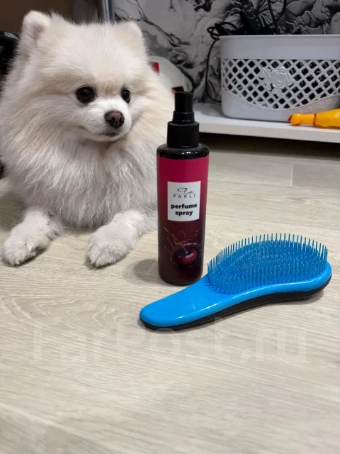 ����. ����
