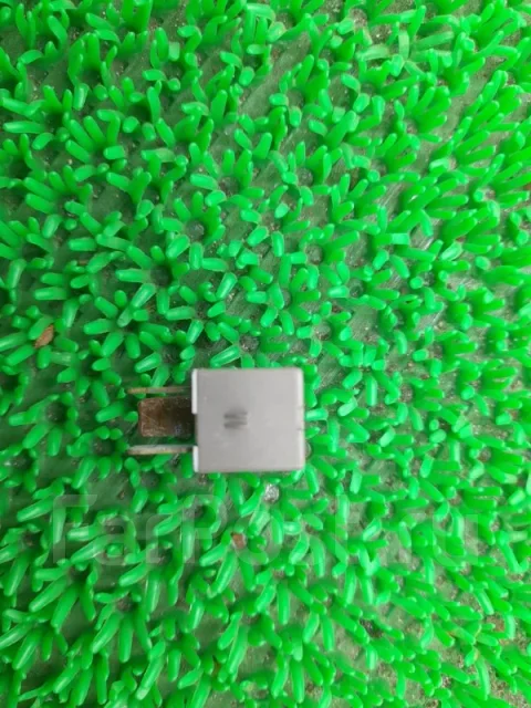 ���� 9004988004 9004988004 ����