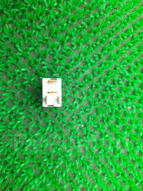 ���� 9004988004 9004988004 ����