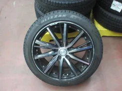 Kyoho Steiner SF-V