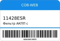 ������ ���� � ������������� ���������� ������� COB-WEB 11428ESR ����