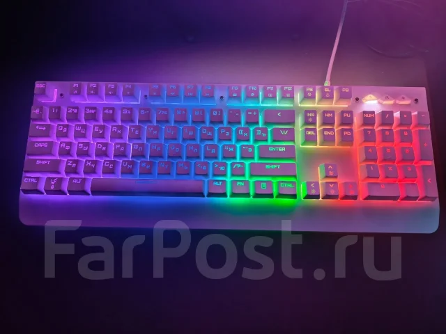 ����������. ����