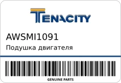 ������� ��������� Tenacity AWSMI1091 ����