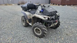 Yamaha Grizzly 700. ��������, ��, �� ����