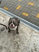 ������������ �����. ����