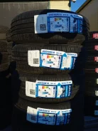Zelda Surate HP. ������, 2026 ���, �����. �������� ������� ����