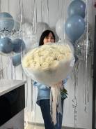 ���� ��������. ����