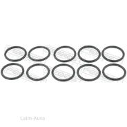 ������ �������������� �������������� ��������� (10 ��. � ��������) Toyota RAV4 ACA3#, ALA3#, GSA33, ZSA3# 2005.11-2012.12 [EU] RINGOL017PCS10 ����