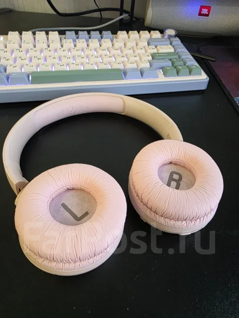 JBL Tune 510BT ����