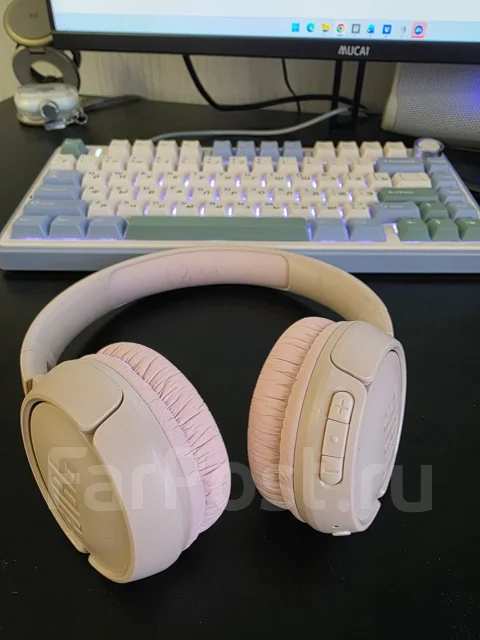 JBL Tune 510BT ����