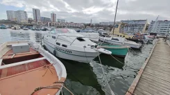 Sealine. 1996 ���, ����� 6,4��., ��������� ������������, 150��.�., ������ ����