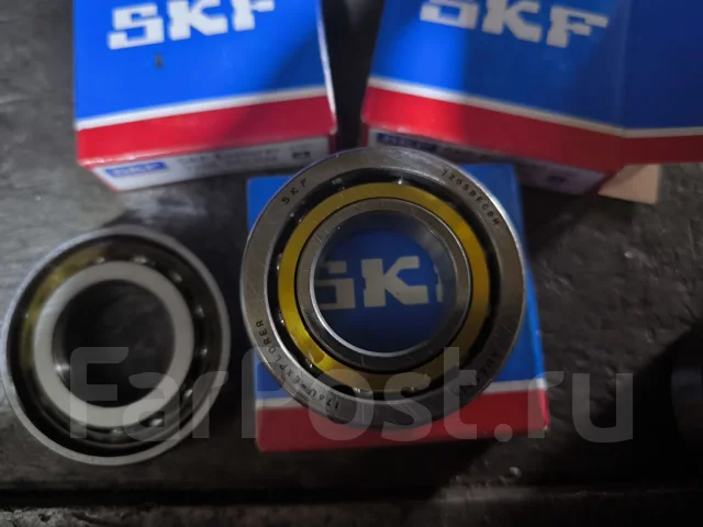 ���� ��������. ����