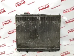 �������� ���������� Nissan Terrano 214600W805 TR50 QD32 214600W805 ����