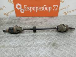 ������ Toyota Sprinter Trueno 4341002030 AE101, �������� ������ 4341002030 ����