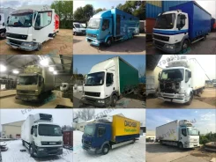 ������ DAF LF 45 1454151 (��� ��) �������� 1454151 ����