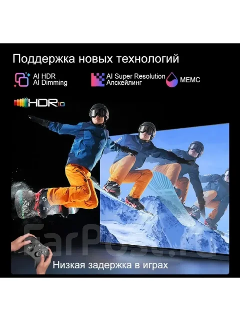 ���������. ����