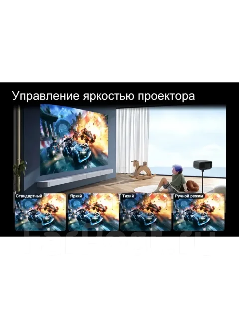 ���������. ����