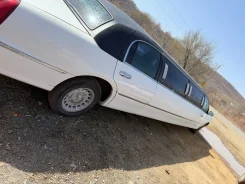 ������ ������������. ����