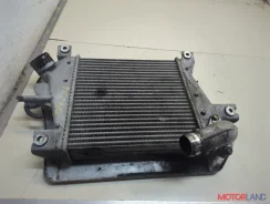 �������� ����������� Nissan X-Trail (T30) 2001-2007 21067193 14461ES60A ����