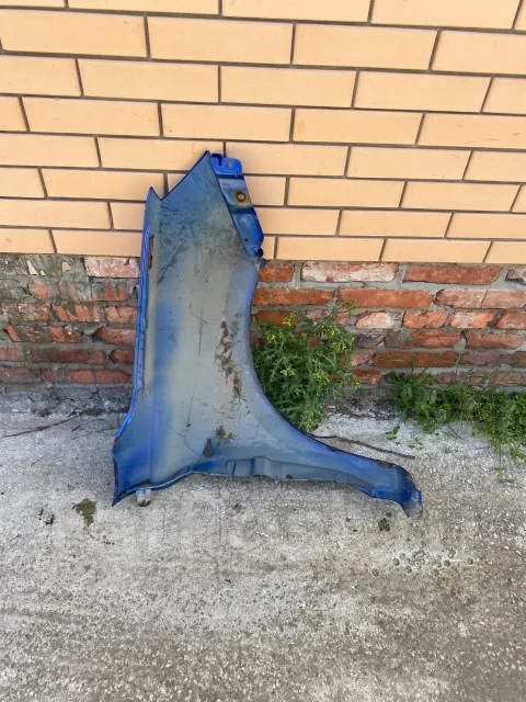 ����� ���� ������ ����
