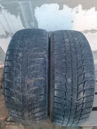 Triangle Snowlink PL01. ������, ��� �����, 2021 ���, �/�, ����� 30 % ����