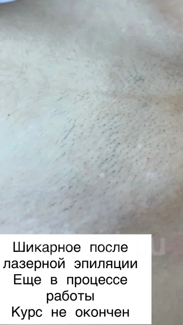 �������� ��������. ����