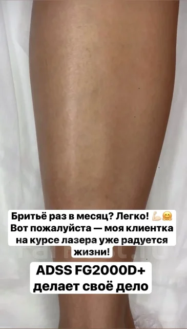 �������� ��������. ����