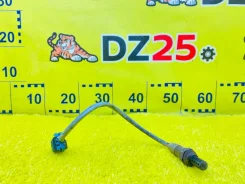 ������-���� [374977] Chevrolet: TrailBlazer | DT13S | 2006 ��� | LM4 | ��������|DZ25 12600893 ����