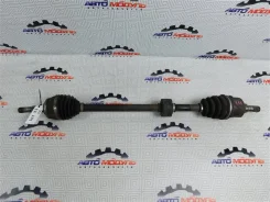 ������ Nissan Wingroad 391004M405 WFY11 QG15-DE, �������� ������ 391004M405 ����