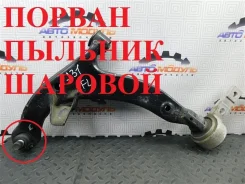 ����� Nissan Teana 545019W50A J31, �������� ����� 545019W50A ����