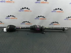 ������ Honda Odyssey 44306S3N951 RA7 F23A, �������� ����� 44306S3N951 ����