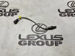 ������ ���� Lexus RX450h 2019 8946748320 GYL25 2Grfxs, ������ 8946748320 ����