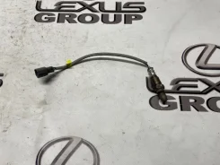 ������ ���� Lexus RX450h 2021 8946748320 GYL25 2Grfxs, ������ 8946748320 ����
