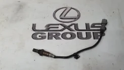 ������ ���� Lexus RX330 2007 8946548170 MCU38 3MZFE, �������� 8946548170 ����
