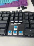 ���������� �������. ����