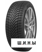 Delinte AW6