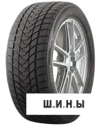 Delinte Winter WD1