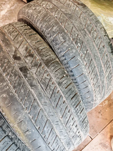 Blacklion Voracio Van. ������, 2018 ���, �/�, ����� 15 % ����