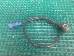 ������ ��������� Chery Amulet 0261231036 A15 SQR480ED 0261231036 ����