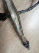 ������ ��������� Volvo S40 30650109 B5254T 30650109 ����