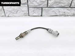 ������-���� Toyota Wish 8946568060 ANE10 1Azfse 8946568060 ����