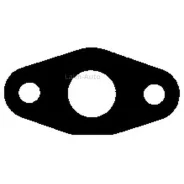 ��������� ���������������� (�) �� ������ ����� 1x MAN D2066 303421 ����