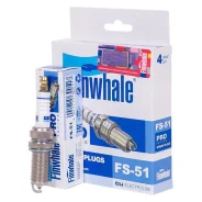 ����� ��������� FS51 ����