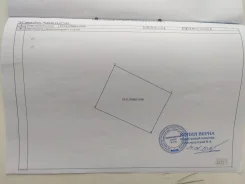 ��������� ������� 20 ����� ��� ���. 19.8����., ��� ���, ������, ������������� ����