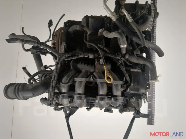 ��������� (���) Ford Focus 2 2005-2008 21082978 1806559 ����